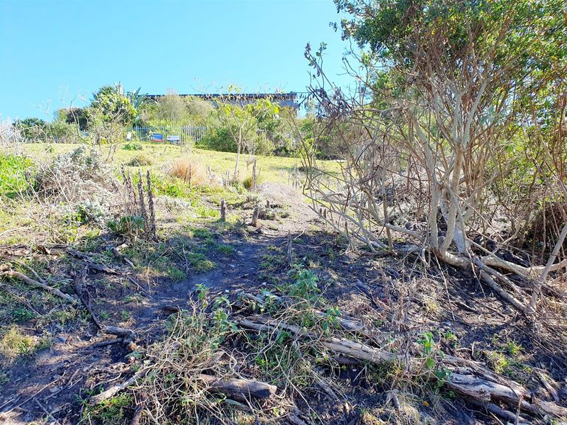 Vacant Land For Sale in Knysna Central, Knysna - Photo 9