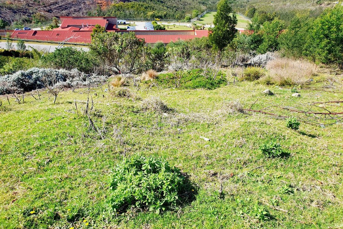 Vacant Land For Sale in Knysna Central, Knysna - Photo 4