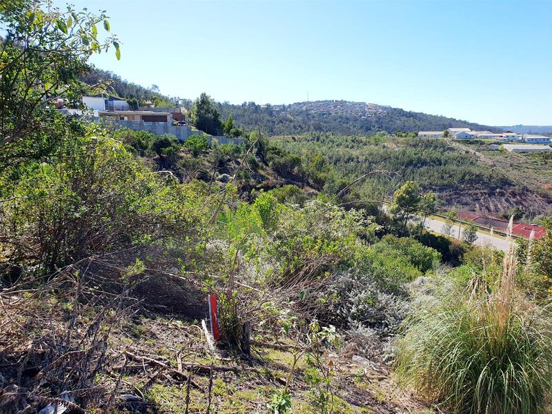 Vacant Land For Sale in Knysna Central, Knysna - Photo 8