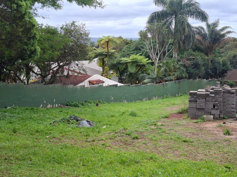 A view of a residential vacant plot featuring a grass lawn, mature trees, and a perimeter boundary wall.