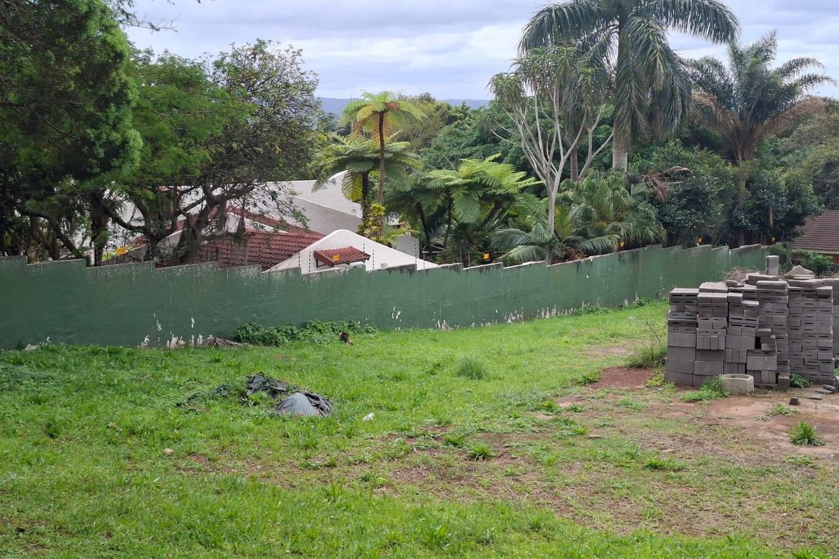 A view of a residential vacant plot featuring a grass lawn, mature trees, and a perimeter boundary wall.
