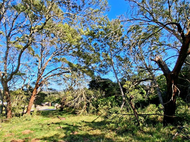 Designers Dream Erf in Rhino Ridge Private Estate - Photo 10