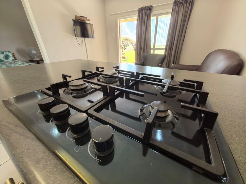 Prime Investment Opportunity: Diversified Small Holding Near Kimberley - Photo 8