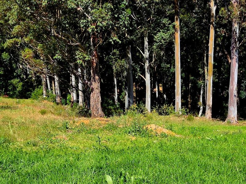 A Golden Opportunity Awaits: Prime Vacant Land in Prestigious Golden Hill - Photo 10