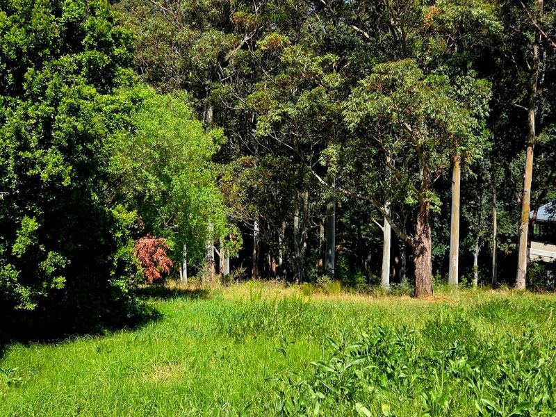 A Golden Opportunity Awaits: Prime Vacant Land in Prestigious Golden Hill - Photo 9