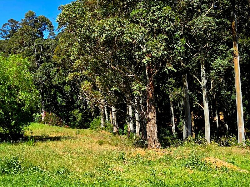 A Golden Opportunity Awaits: Prime Vacant Land in Prestigious Golden Hill - Photo 8