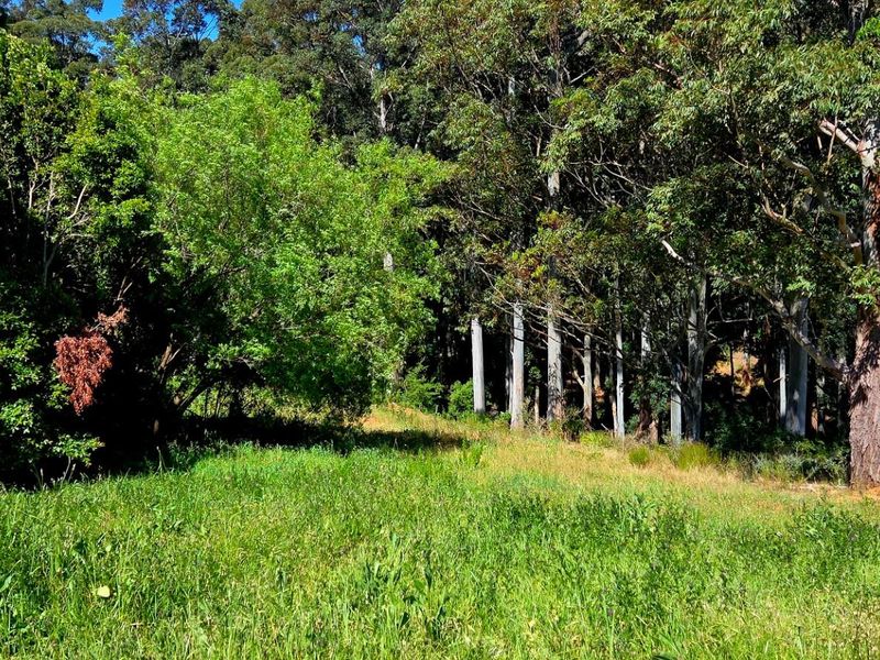 A Golden Opportunity Awaits: Prime Vacant Land in Prestigious Golden Hill - Photo 7