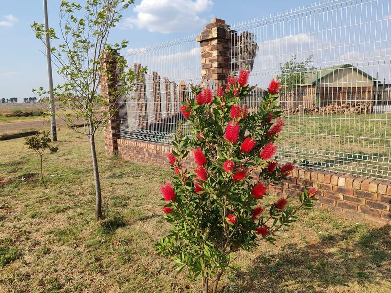 Vacant Land For Sale in Riversdale, Meyerton, R480 000.00 - Photo 2