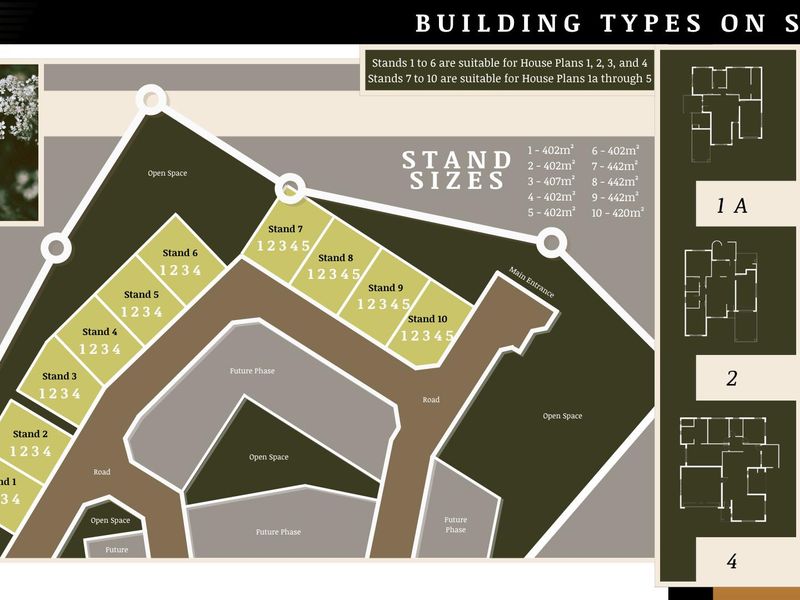 NTULO VIVANT TYPE 1 - Photo 5