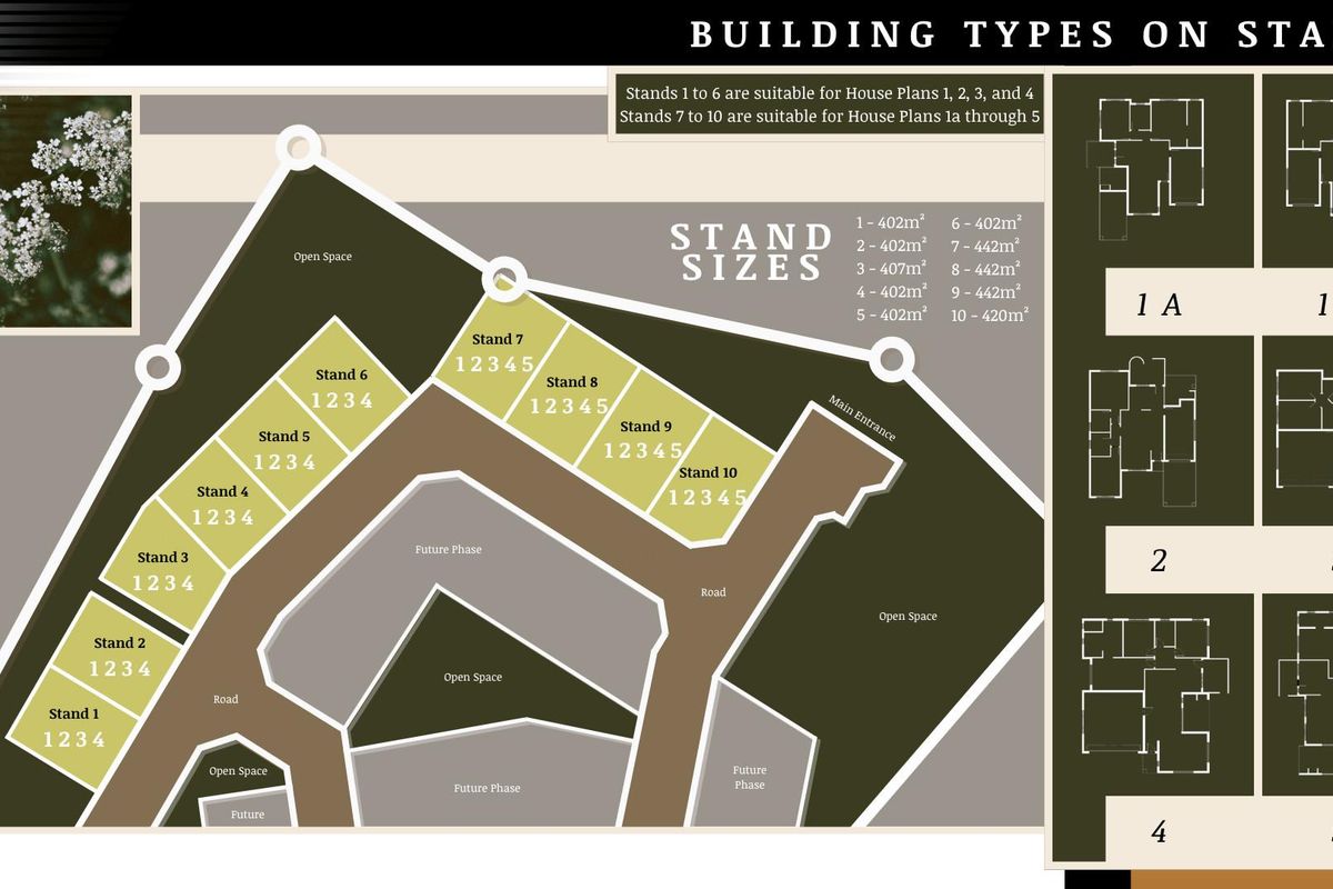 NTULO VIVANT TYPE 1 - Photo 5
