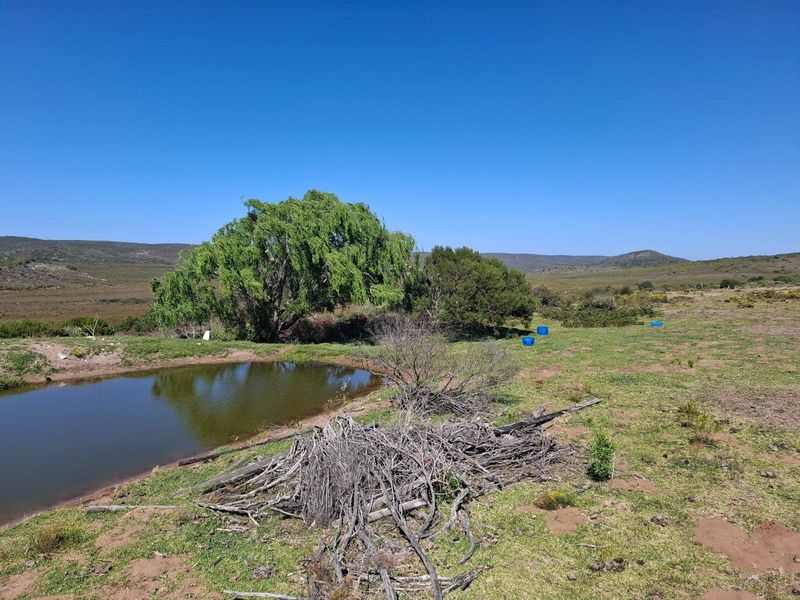 Farm For Sale in Albertinia - Photo 9