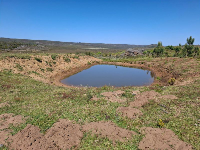 Farm For Sale in Albertinia - Photo 4