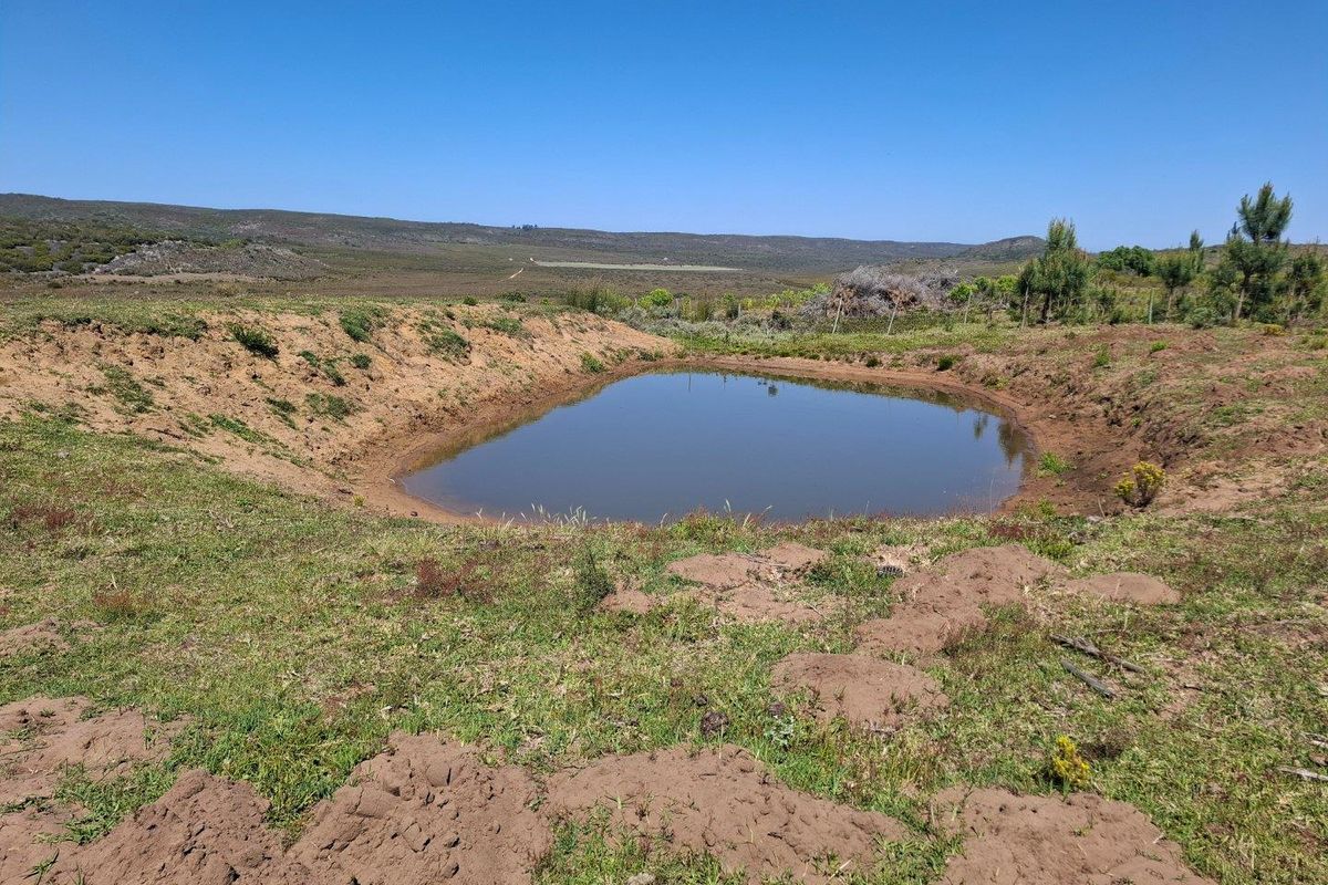 Farm For Sale in Albertinia - Photo 4