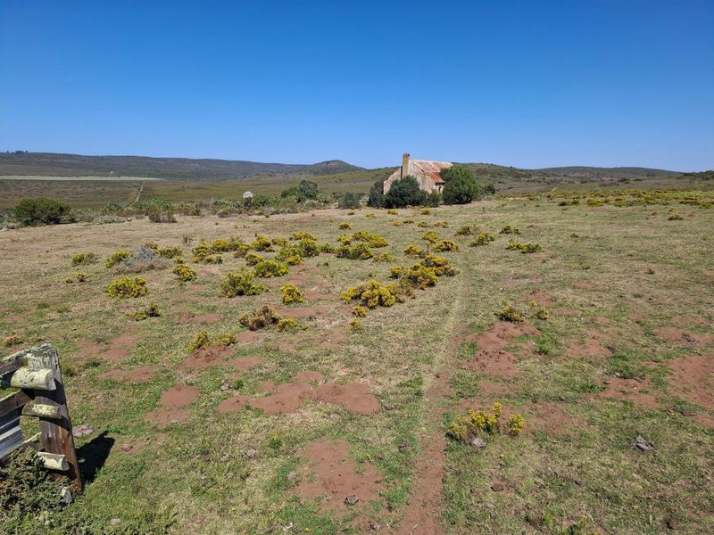 Farm For Sale in Albertinia - Photo 10