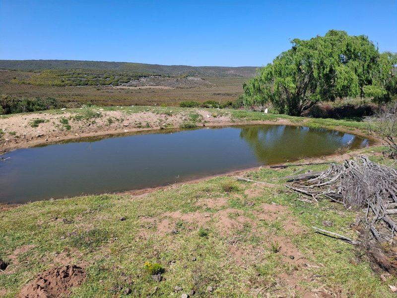 Farm For Sale in Albertinia - Photo 3