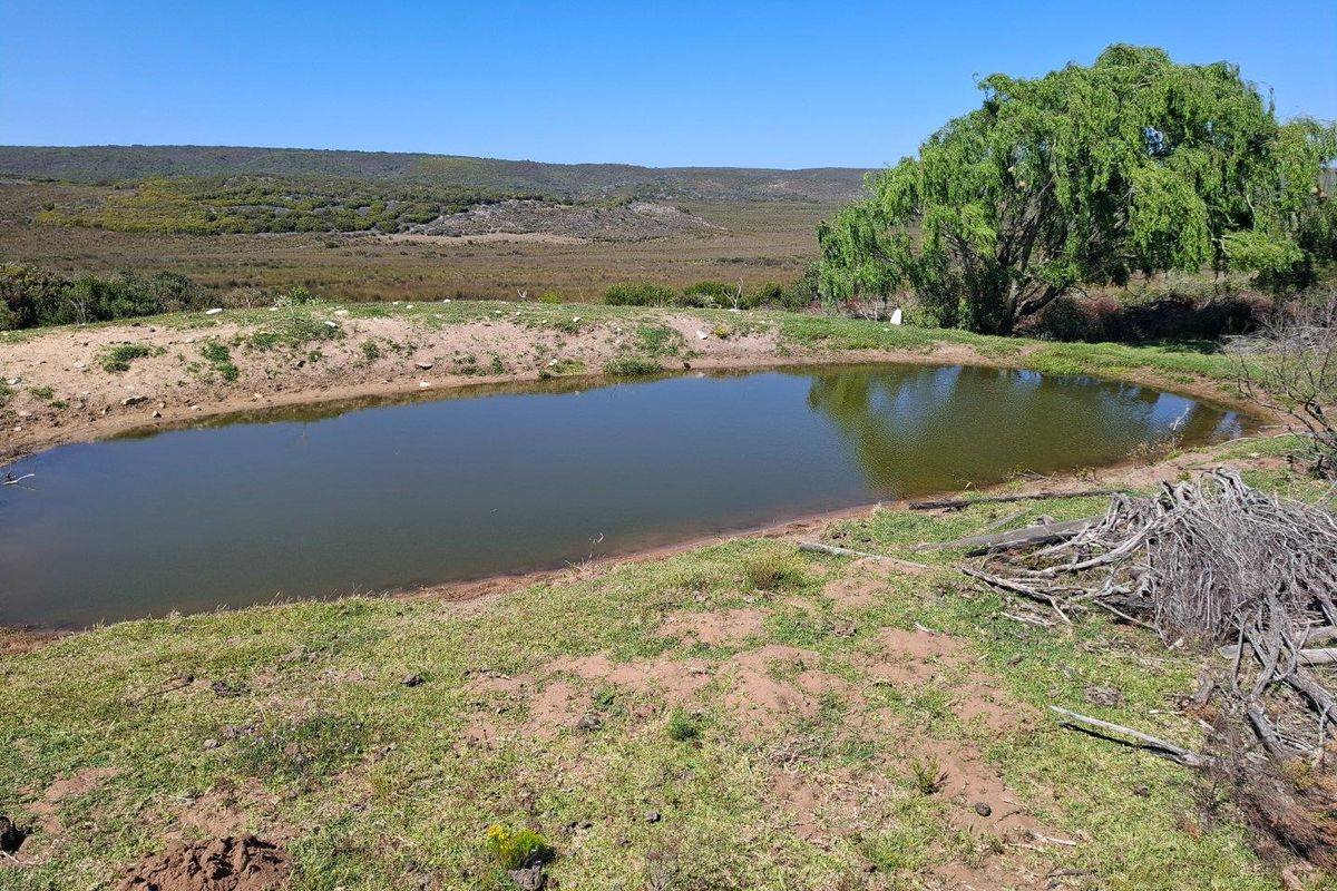 Farm For Sale in Albertinia - Photo 3