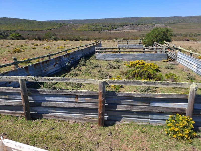 Farm For Sale in Albertinia - Photo 2