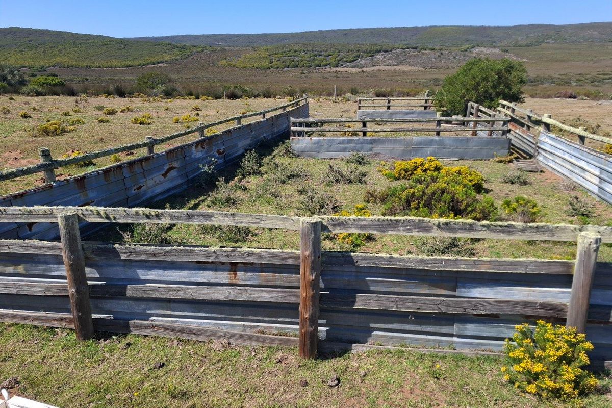 Farm For Sale in Albertinia - Photo 2