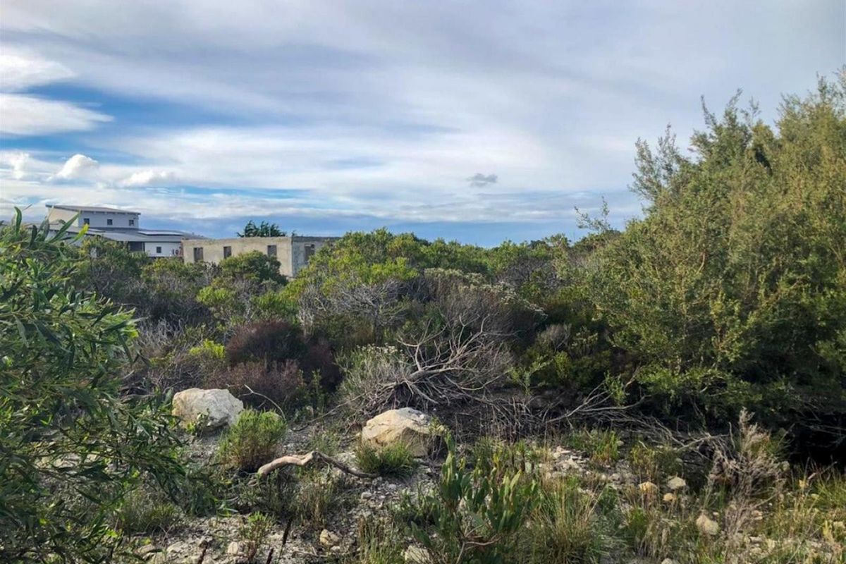 Wake Up to Kogelberg Mountain Views, Sea Air and Slow Living! - Photo 3