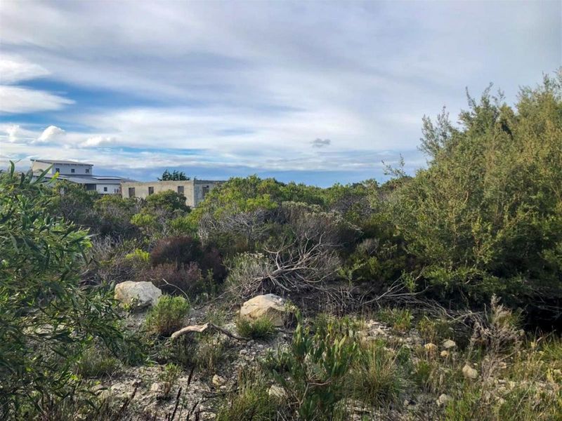 Wake Up to Kogelberg Mountain Views, Sea Air and Slow Living! - Photo 3