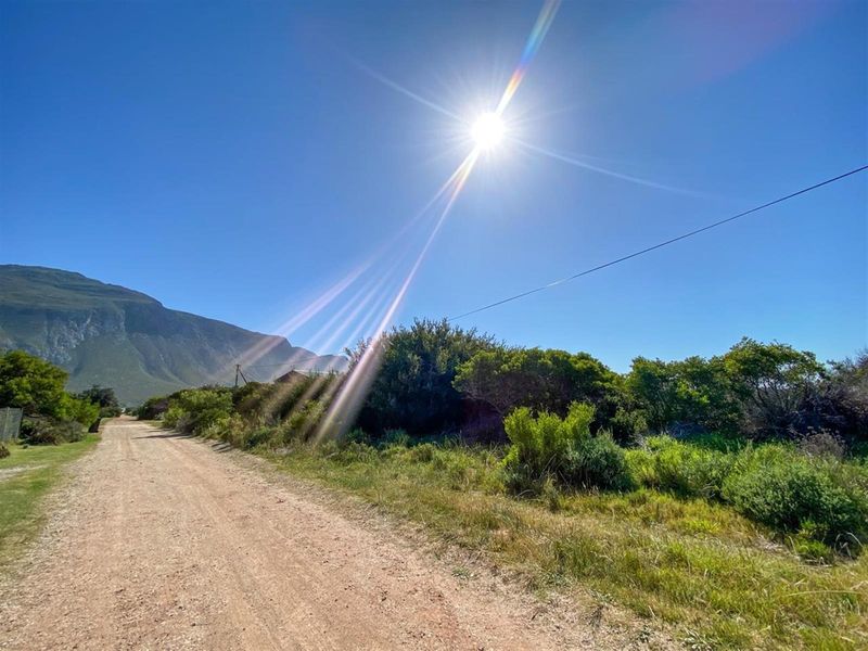 Wake Up to Kogelberg Mountain Views, Sea Air and Slow Living! - Photo 9