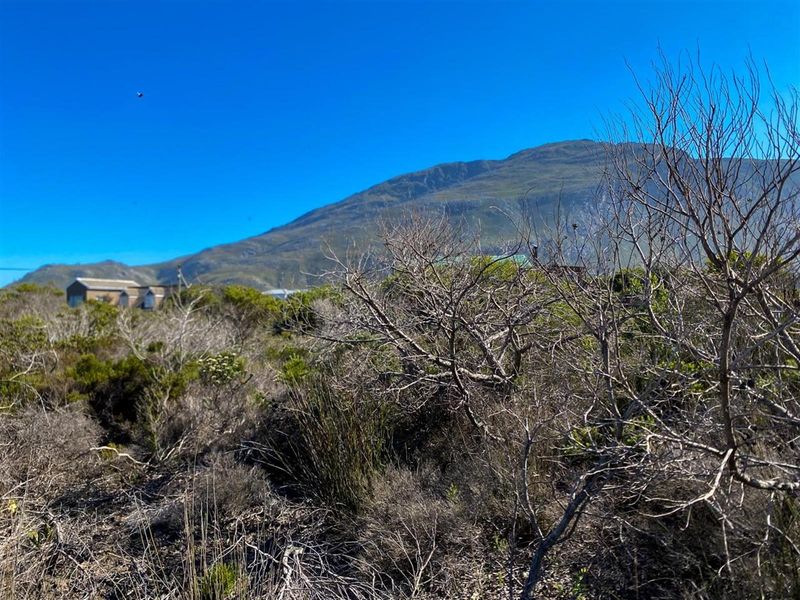 Wake Up to Kogelberg Mountain Views, Sea Air and Slow Living! - Photo 7