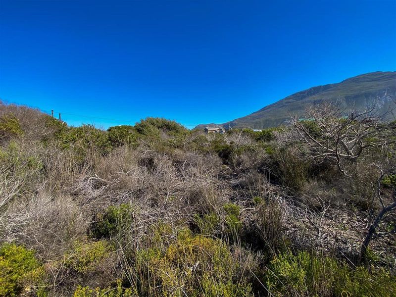 Wake Up to Kogelberg Mountain Views, Sea Air and Slow Living! - Photo 8