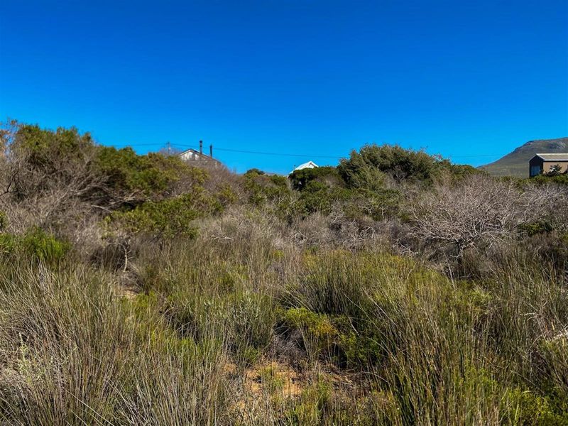 Wake Up to Kogelberg Mountain Views, Sea Air and Slow Living! - Photo 5