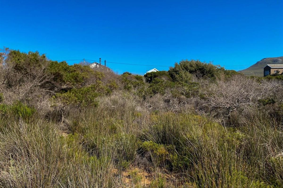 Wake Up to Kogelberg Mountain Views, Sea Air and Slow Living! - Photo 5