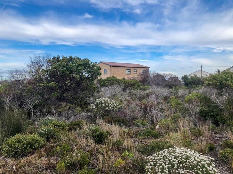 Wake Up to Kogelberg Mountain Views, Sea Air and Slow Living! - Photo 4