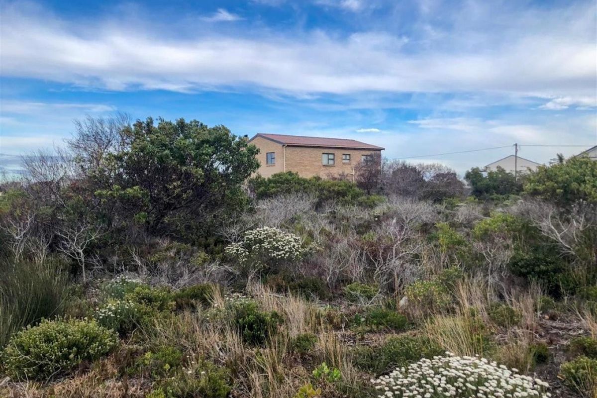 Wake Up to Kogelberg Mountain Views, Sea Air and Slow Living! - Photo 4