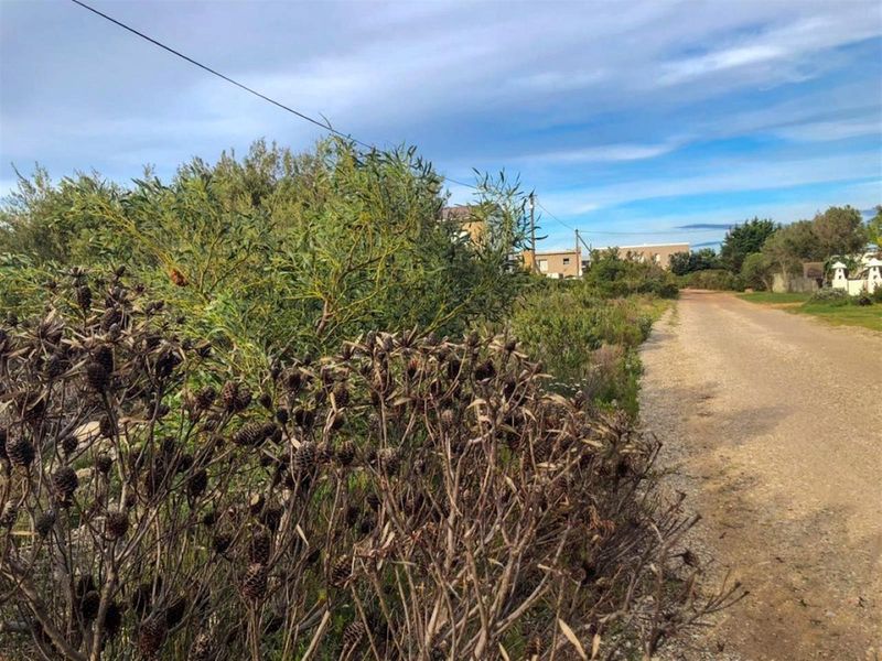 Wake Up to Kogelberg Mountain Views, Sea Air and Slow Living! - Photo 2