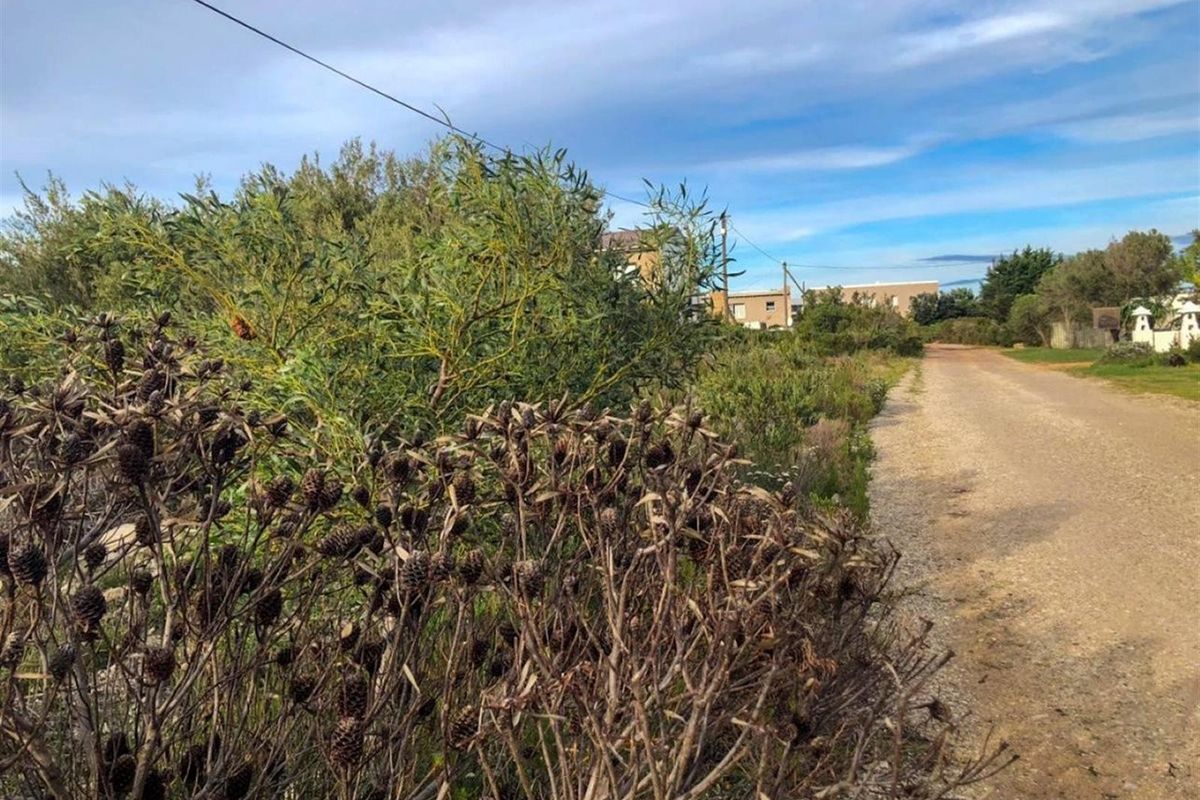 Wake Up to Kogelberg Mountain Views, Sea Air and Slow Living! - Photo 2