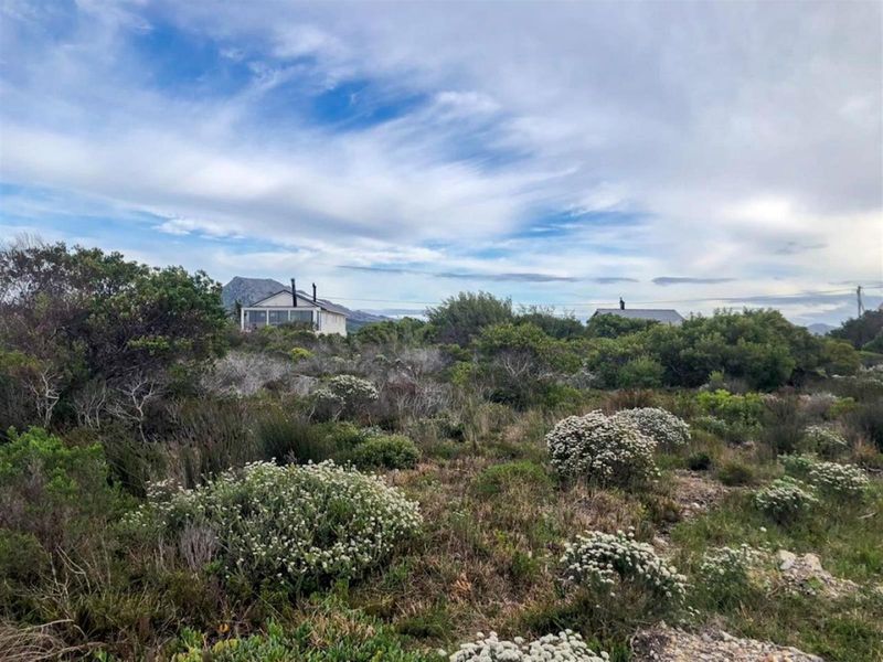 Wake Up to Kogelberg Mountain Views, Sea Air and Slow Living! - Photo 10