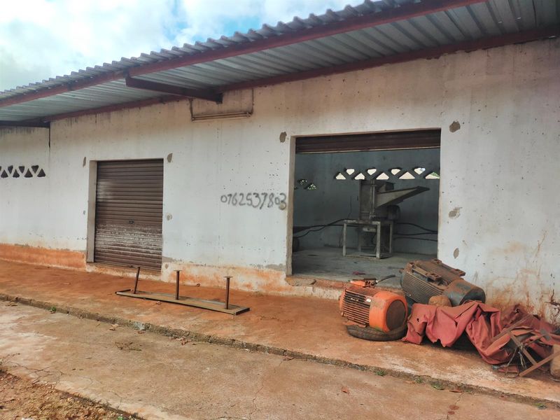 Rear exterior view of a commercial industrial building featuring a corrugated metal roof, roller shutter door, and ventilation blocks.