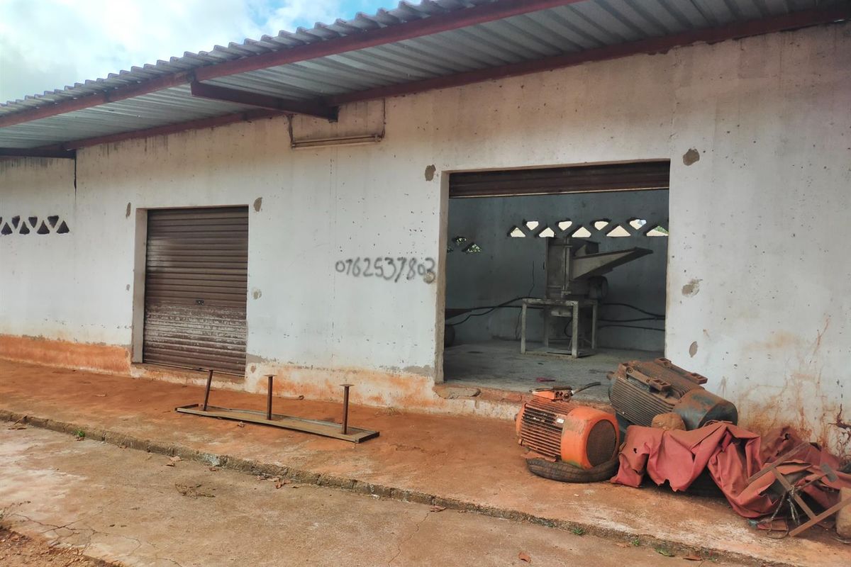 Rear exterior view of a commercial industrial building featuring a corrugated metal roof, roller shutter door, and ventilation blocks.