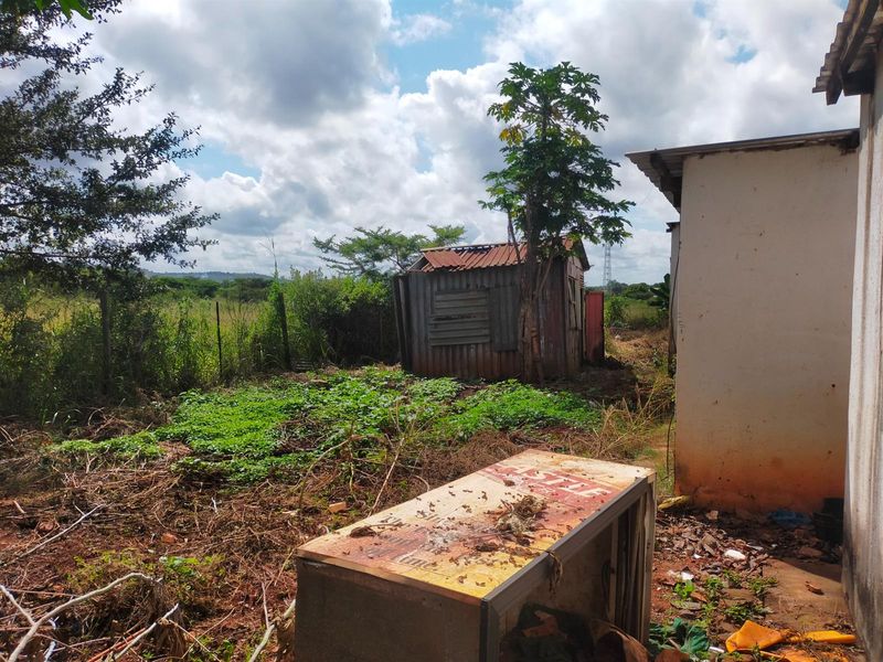 Rear exterior view of the property featuring an overgrown garden area and a small, dilapidated corrugated metal storage shed.