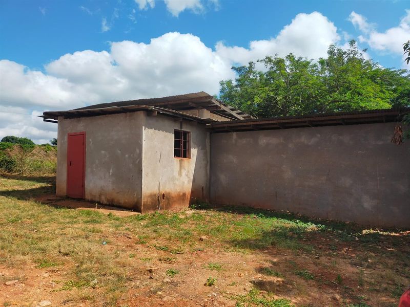 Rear view of a basic commercial structure featuring cement rendered walls, a corrugated metal roof, and a steel security door.