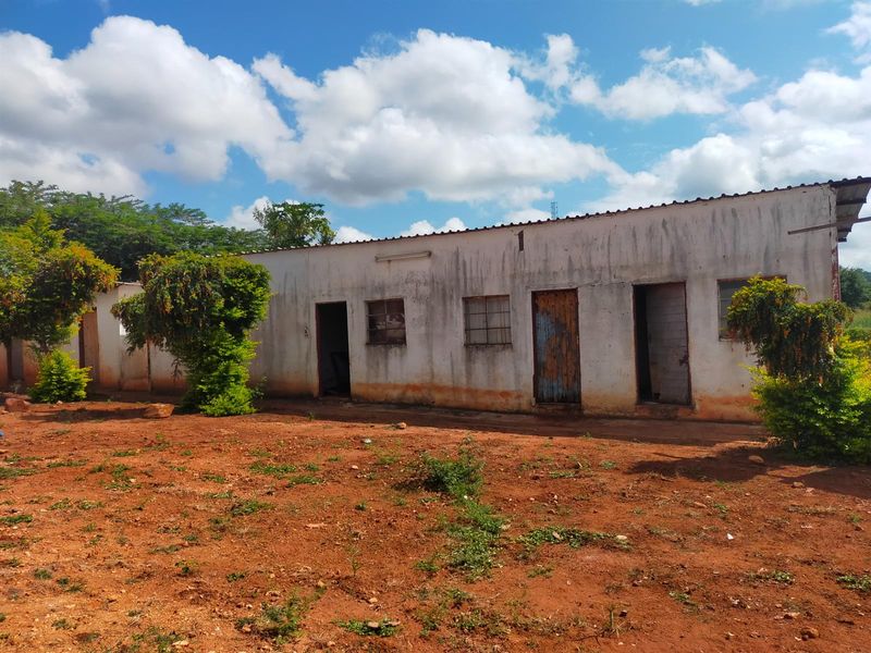 Rear view of a commercial building featuring a corrugated metal roof and multiple access points, showing significant signs of exterior wear and weathering.