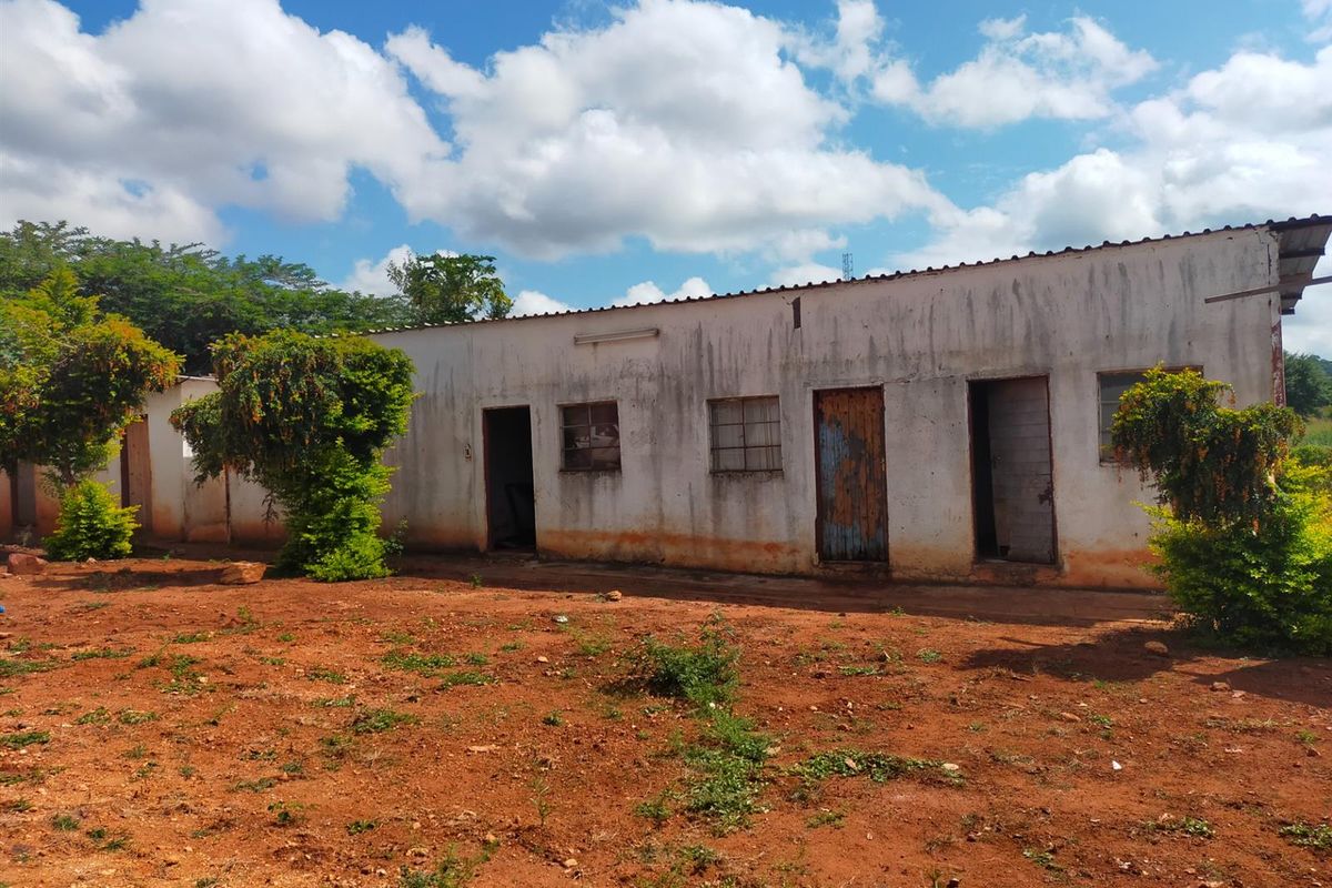 Rear view of a commercial building featuring a corrugated metal roof and multiple access points, showing significant signs of exterior wear and weathering.