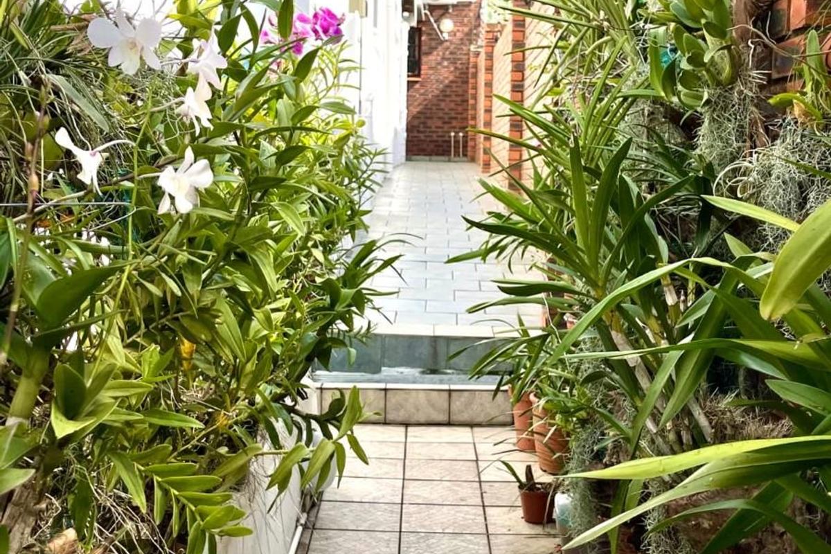 A narrow, paved side walkway featuring brick boundary walls and established garden plantings, providing a functional outdoor passage along the side of the house.