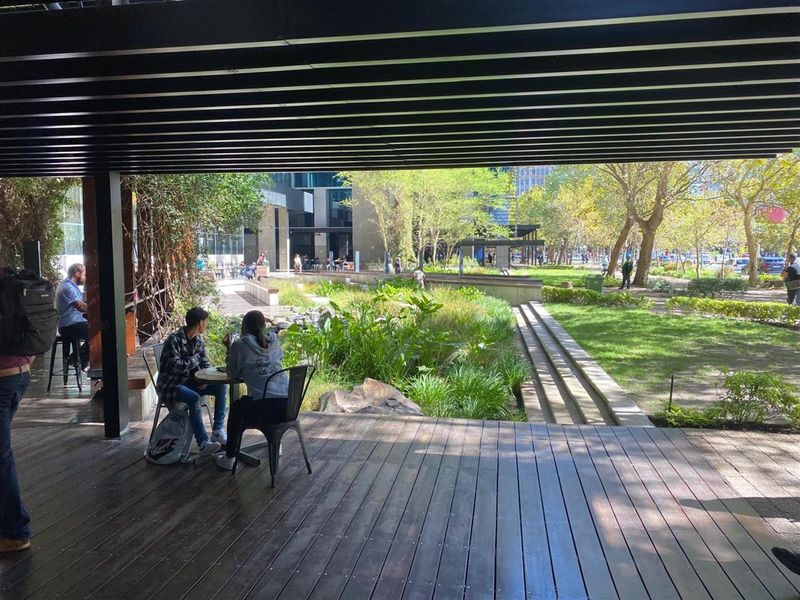 A covered outdoor timber deck area overlooking a landscaped garden with stone features and mature trees.