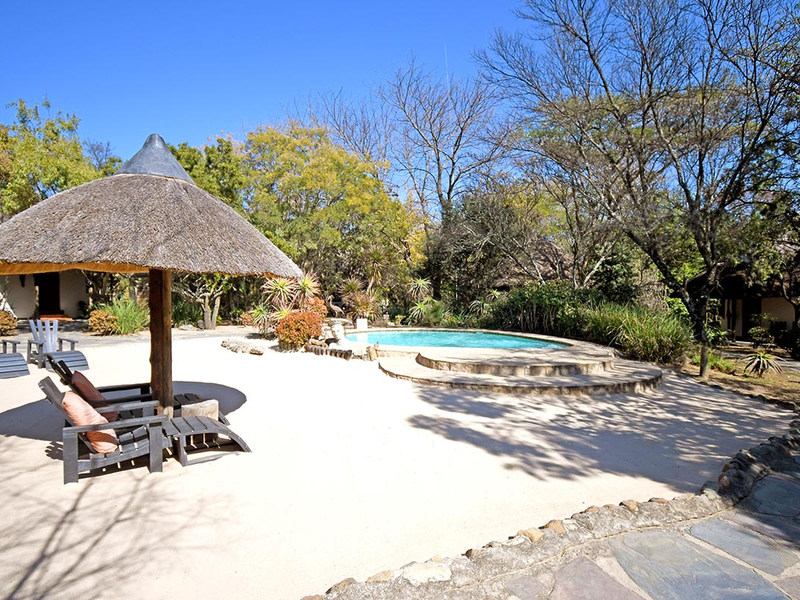 Outdoor pool area featuring a circular swimming pool, sand surround, and a traditional thatched umbrella in a natural lodge setting.