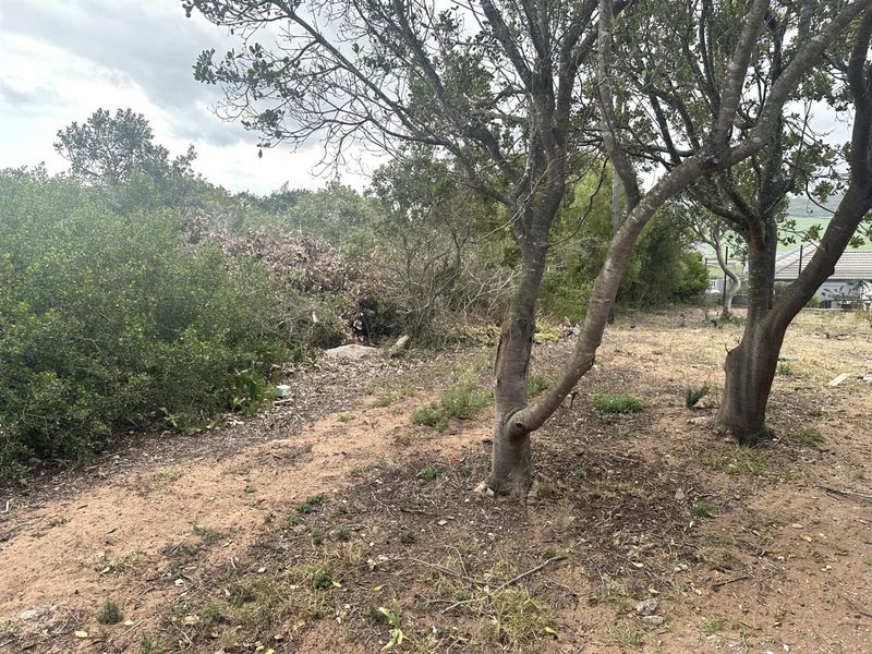 Prime Panhandle Stand in Tergniet - Photo 8