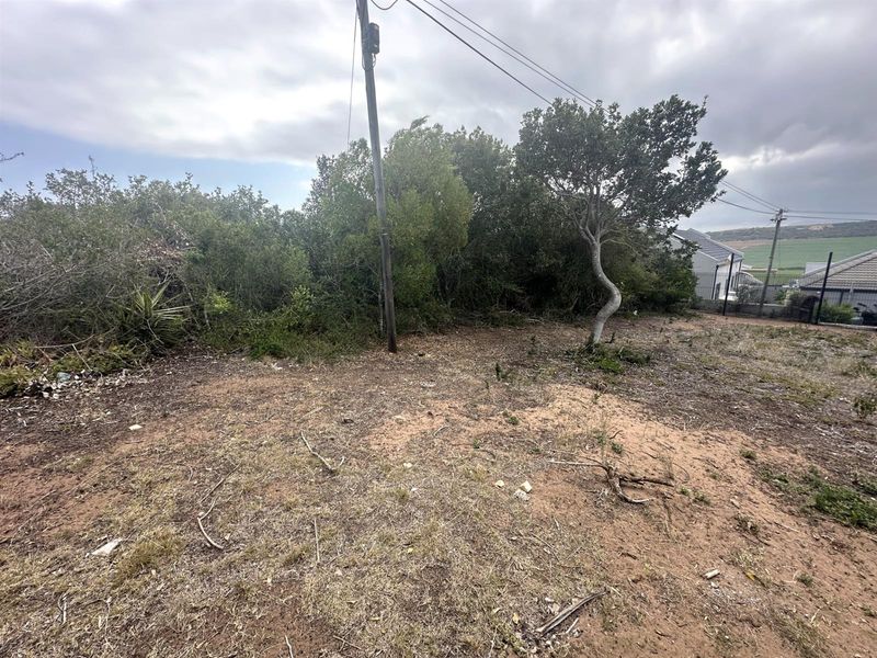 Prime Panhandle Stand in Tergniet - Photo 7