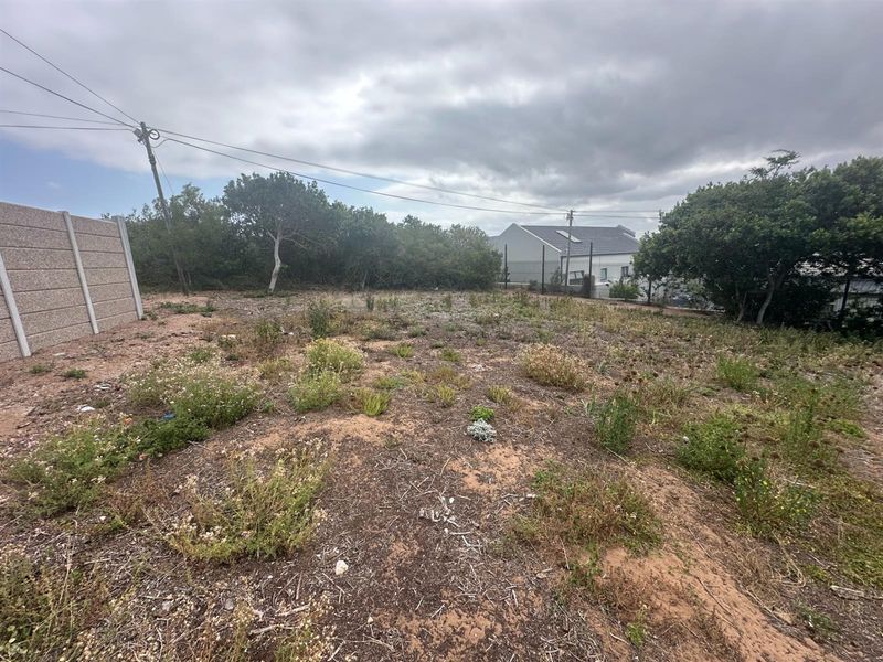 Prime Panhandle Stand in Tergniet - Photo 6