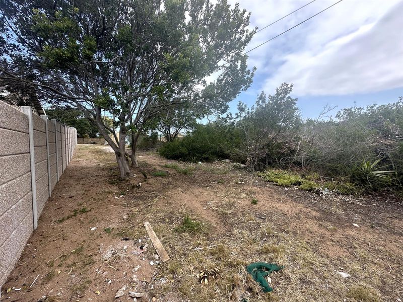 Prime Panhandle Stand in Tergniet - Photo 9