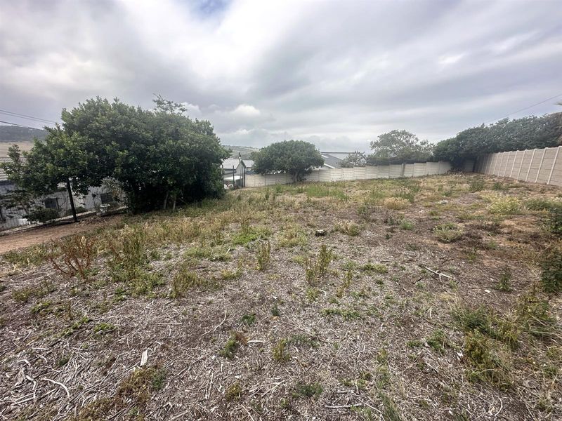 Prime Panhandle Stand in Tergniet - Photo 2