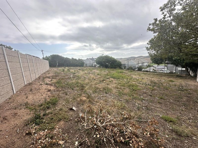 Prime Panhandle Stand in Tergniet - Photo 3