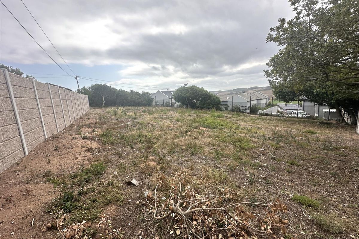 Prime Panhandle Stand in Tergniet - Photo 3